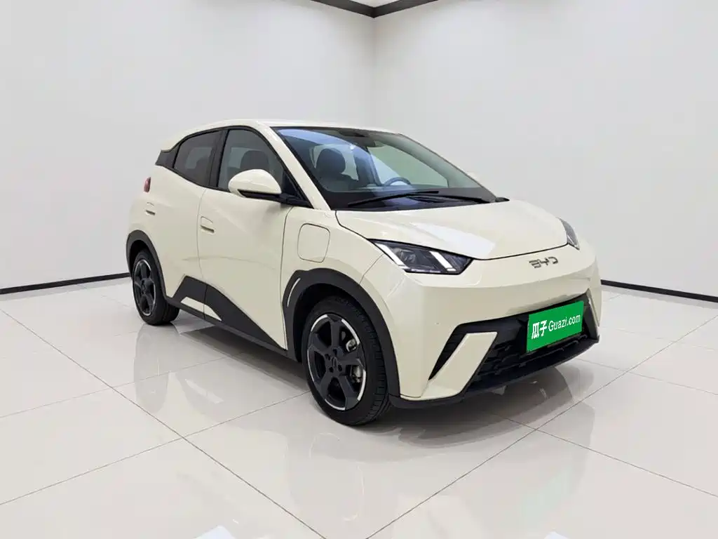 BYD Seagull 2024