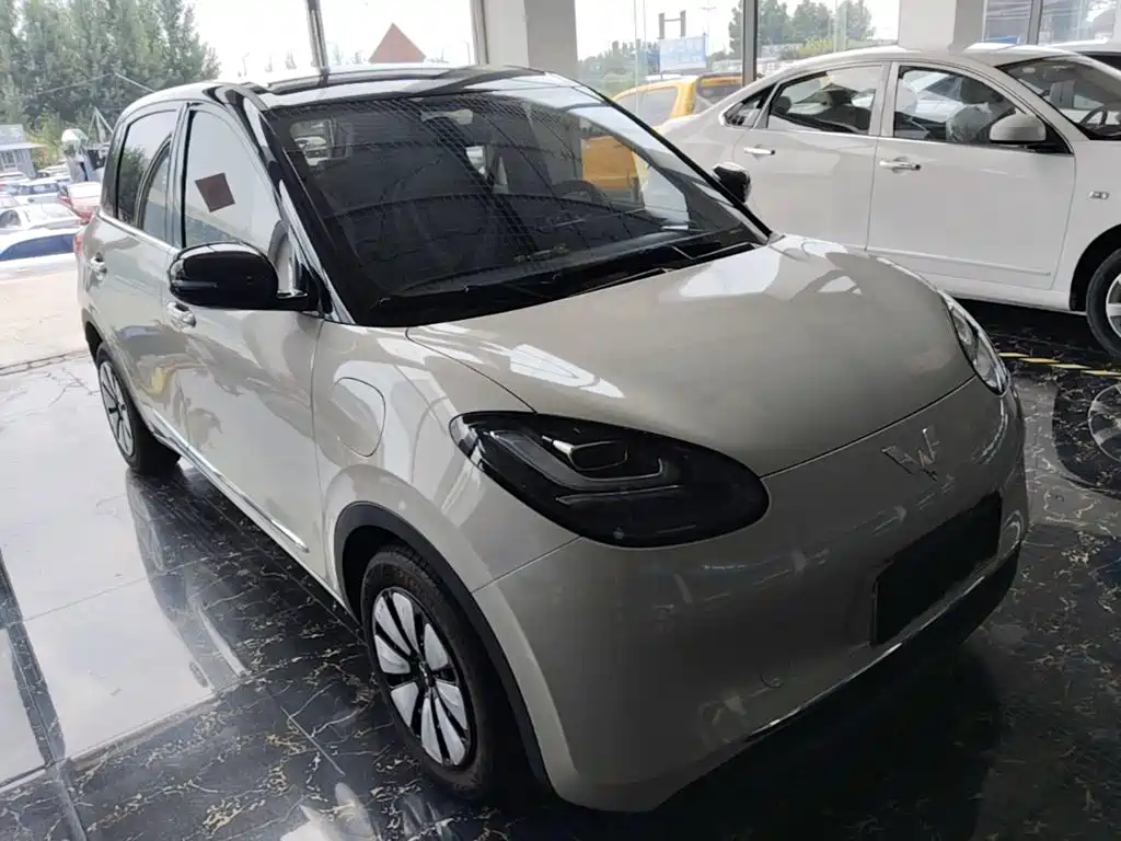 Wuling Bingo 2024