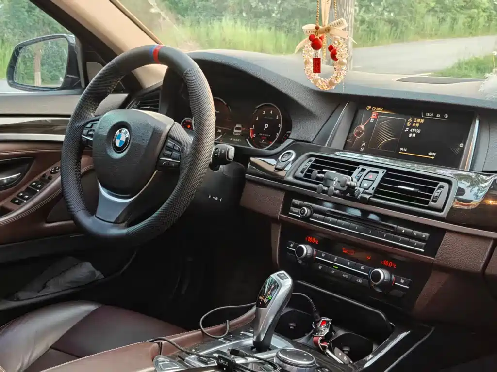 BMW 5 Series 2016