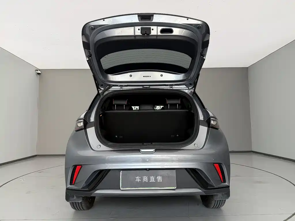 BYD Dolphin 2022