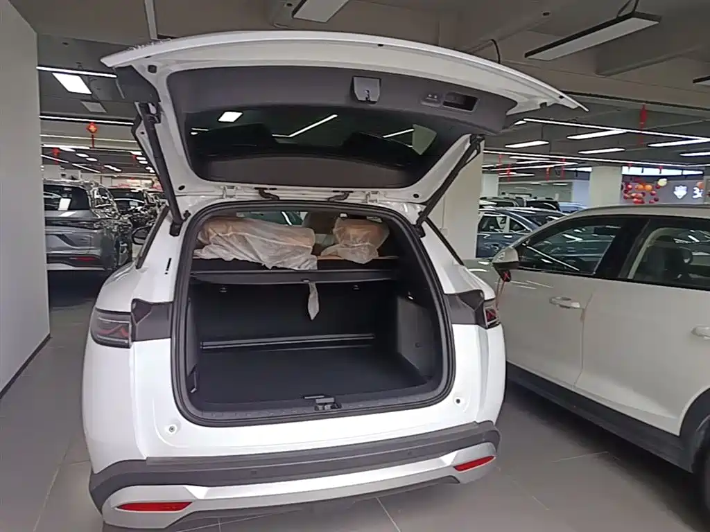 BYD L DM-i 2025 — фото 19