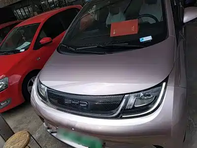 BYD Dolphin 2024