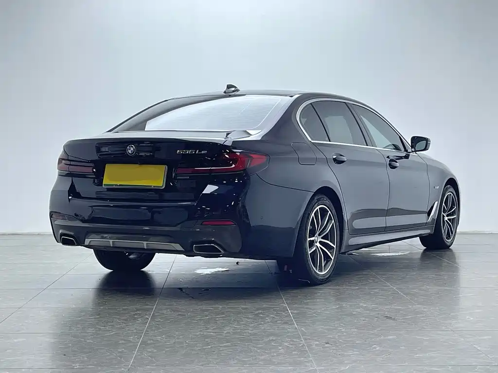 BMW 5 Series New Energy 2022