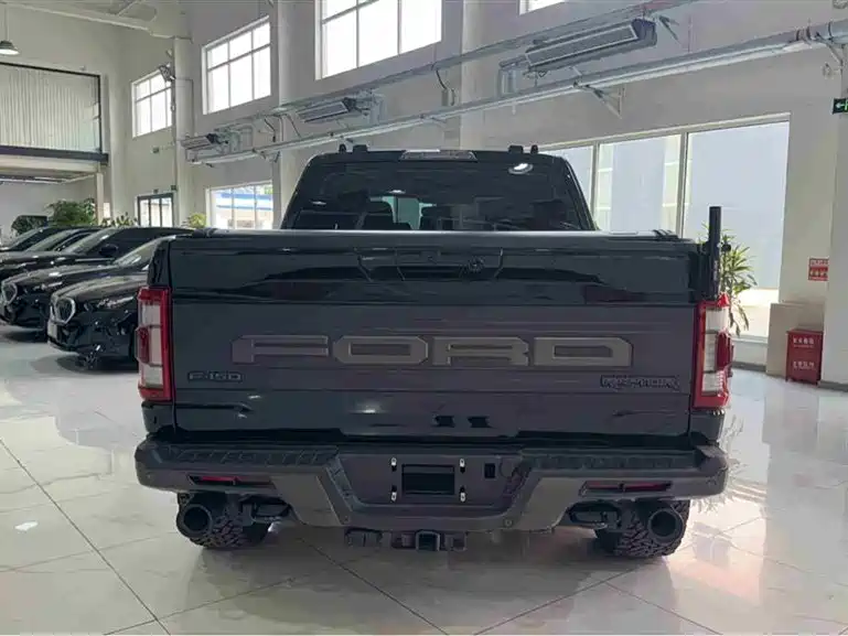 Ford F-150 Raptor 2023 — фото 6