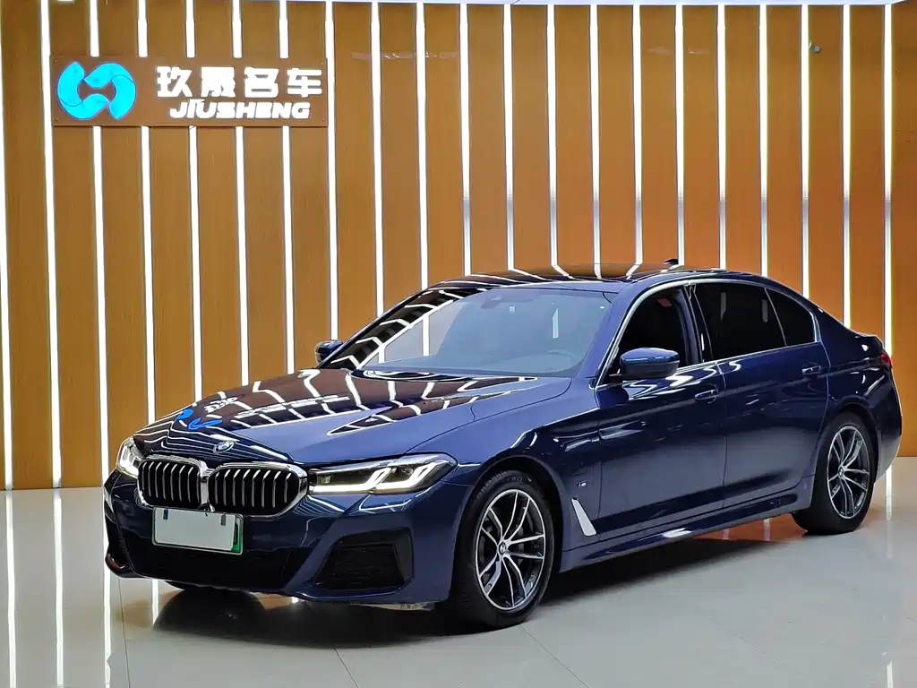BMW 5 Series New Energy 2021 — фото 1