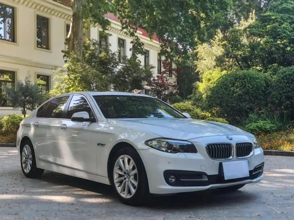 BMW 5 Series 2014
