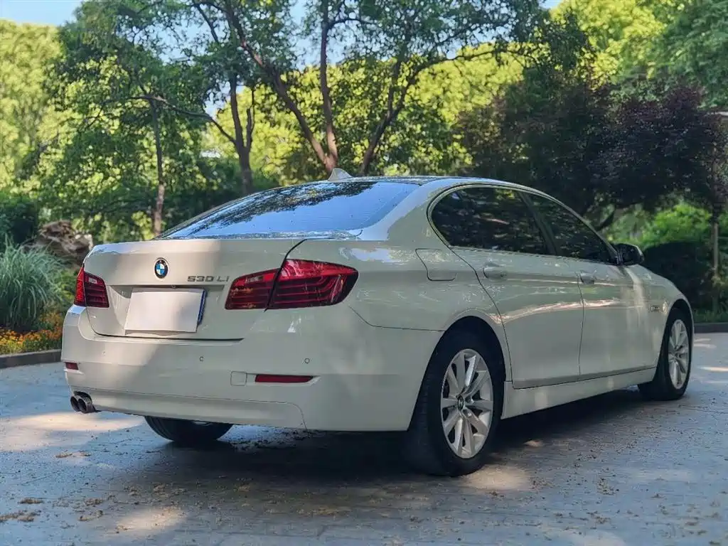 BMW 5 Series 2014