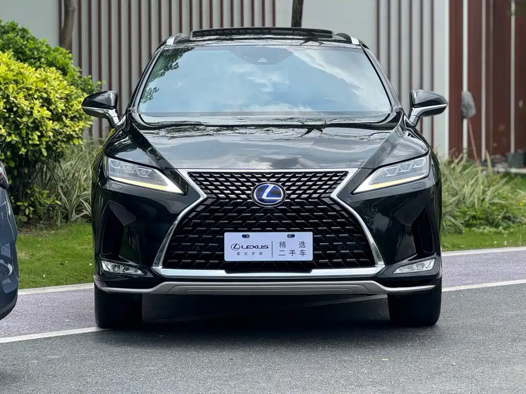Lexus RX 2021 — фото 2