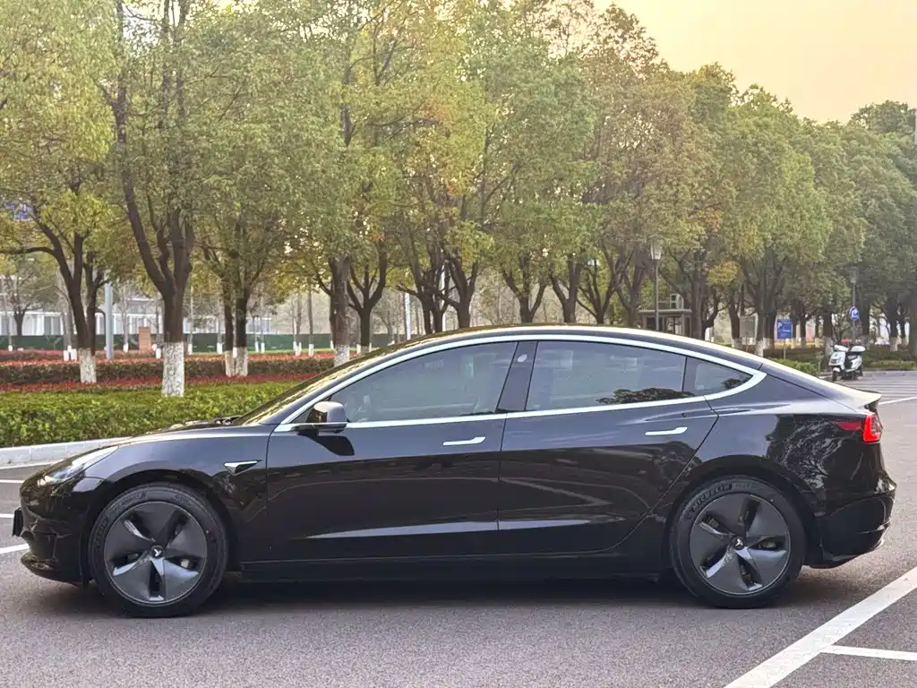 Tesla Model 3 2020 — фото 3