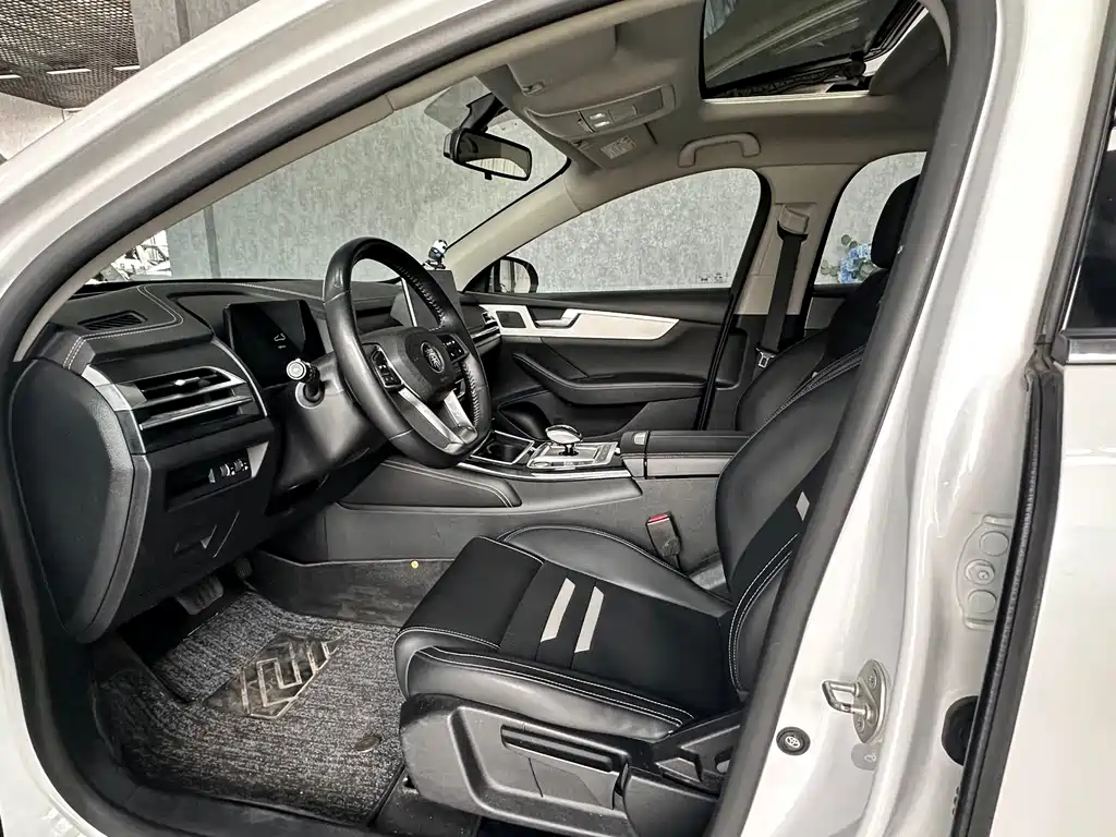 BYD Qin Pro New Energy 2019 — фото 11