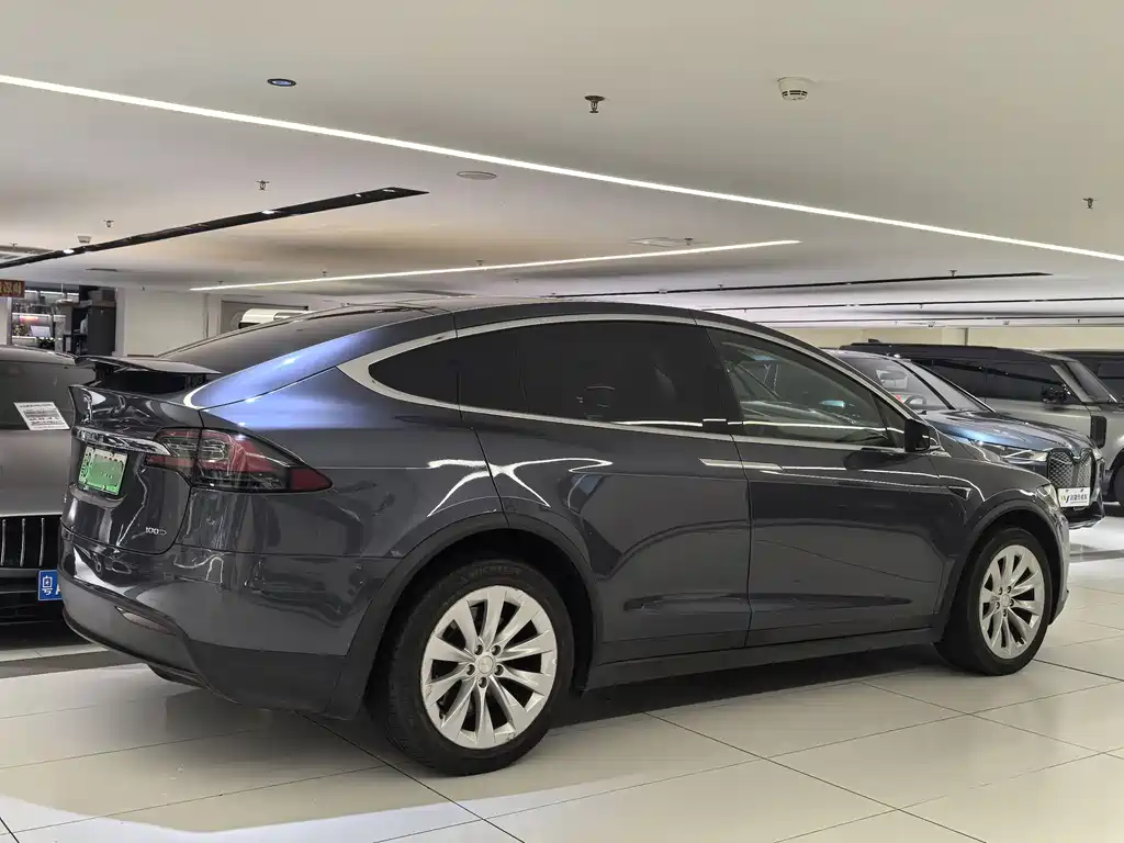 Tesla Model X 2019 — фото 16