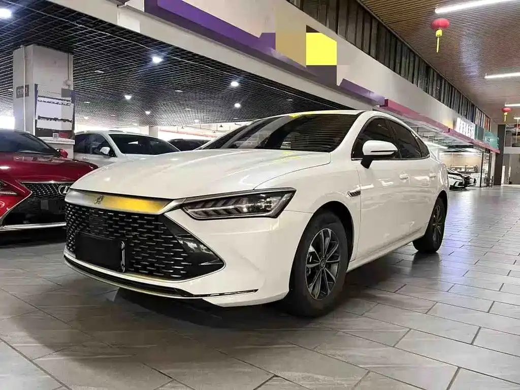 BYD Qin PLUS 2024 — фото 1