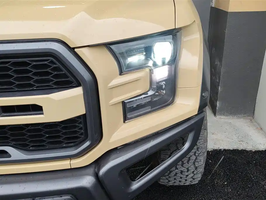 Ford F-150 Raptor 2018 — фото 5
