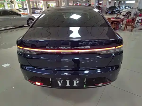 BYD Destroyer 05 2024