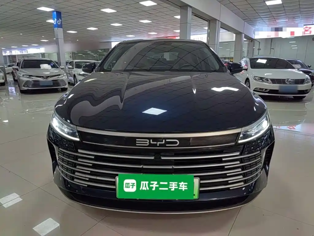 BYD Destroyer 05 2024 — фото 3