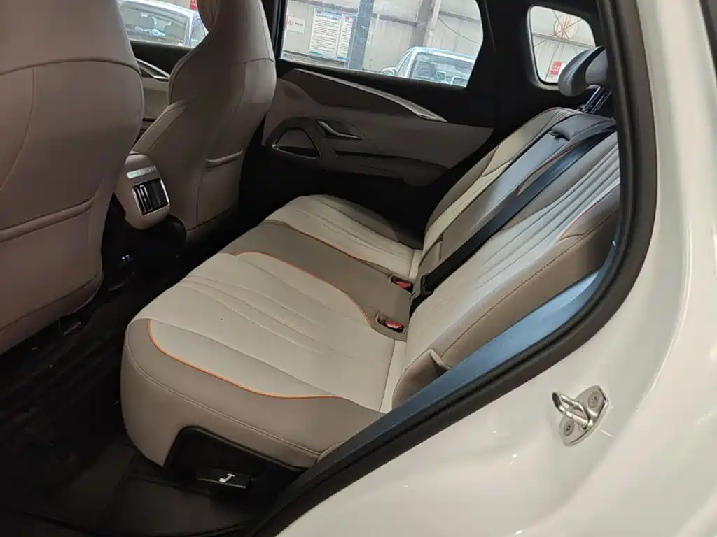 BYD Song Pro New Energy 2024 — фото 17