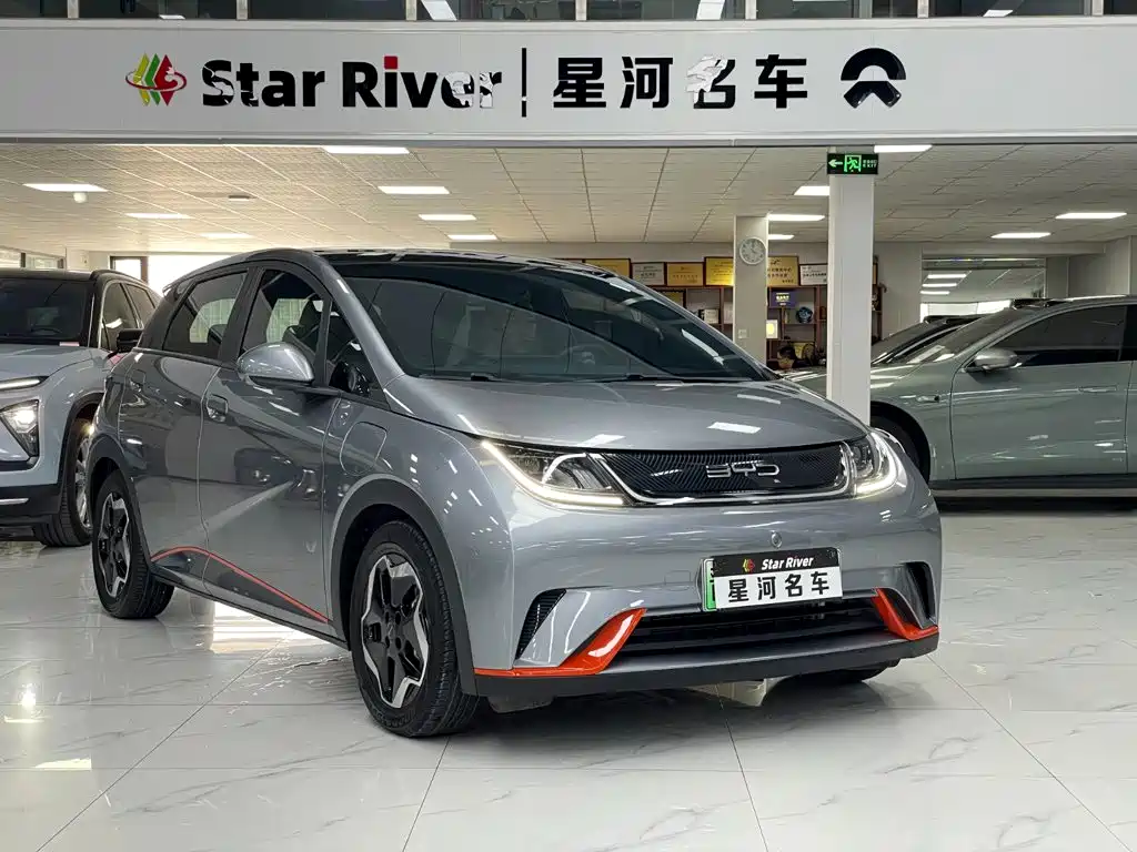 BYD Dolphin 2022