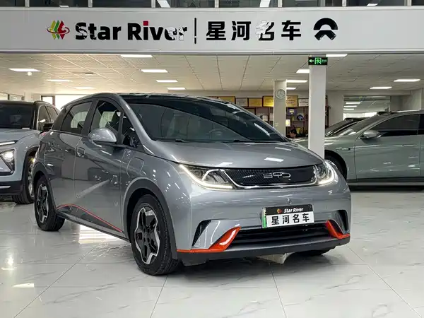 BYD Dolphin 2022