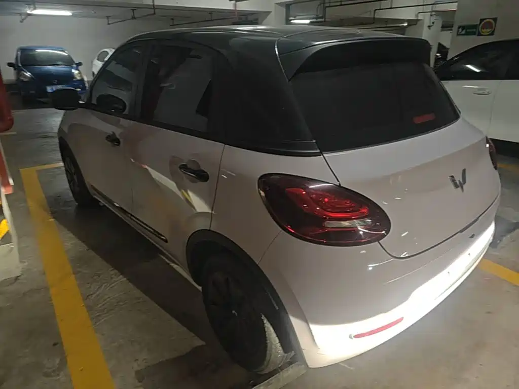 Wuling Bingo 2024