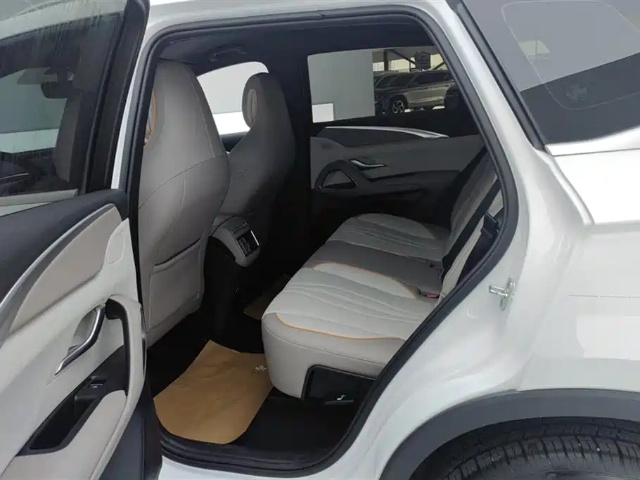 BYD Pro New Energy 2024 — фото 11