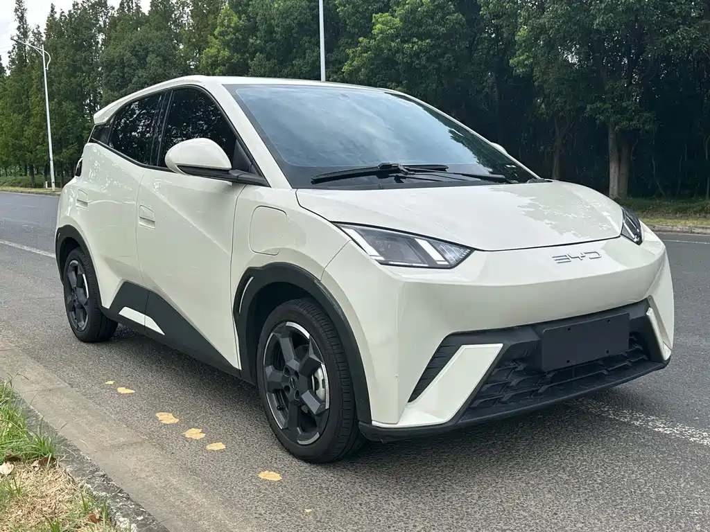 BYD Seagull 2024