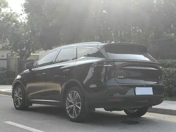 BYD Tang New Energy 2020