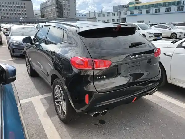 Wey VV5 2018