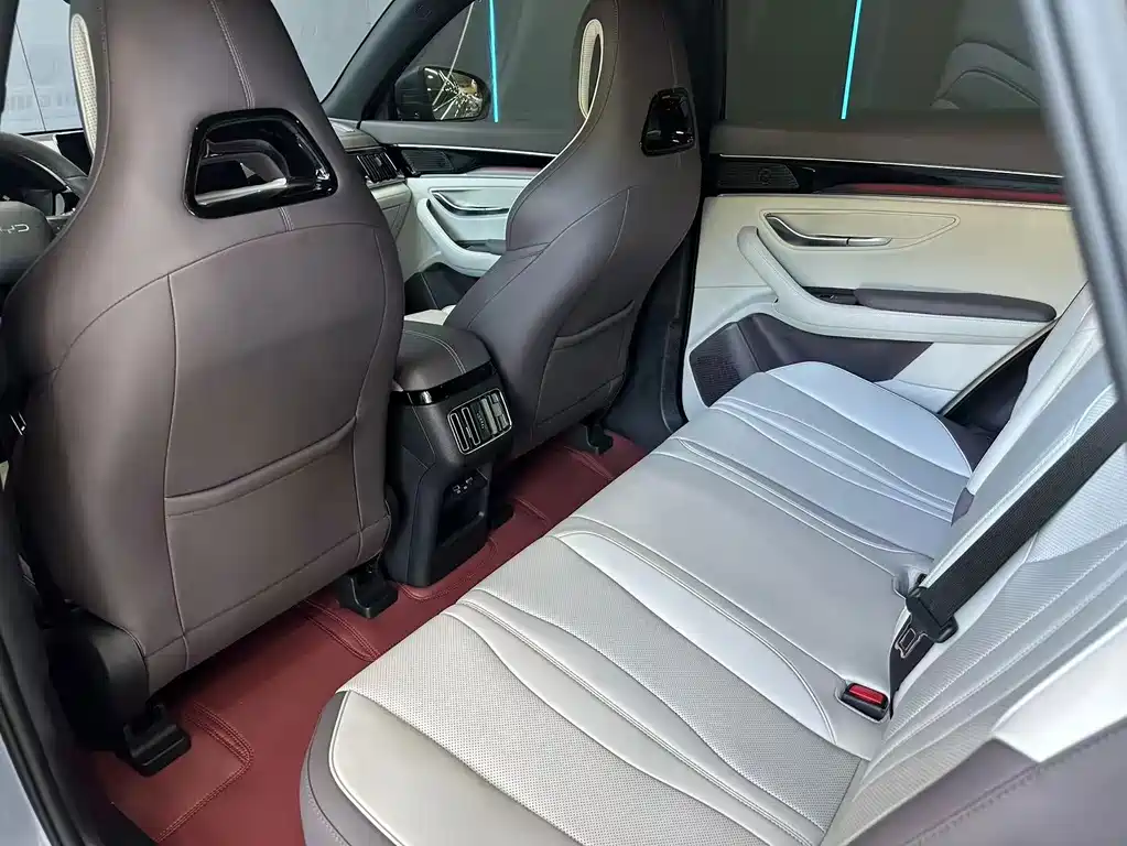 BYD Song PLUS New Energy 2025 — фото 10