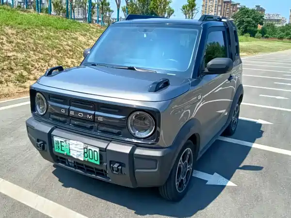 Geely Galaxy Panda 2024