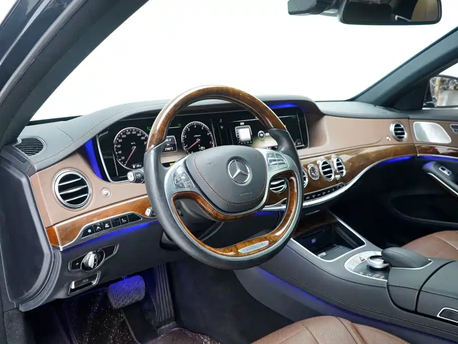 Mercedes-Benz S-Class 2014 — фото 16