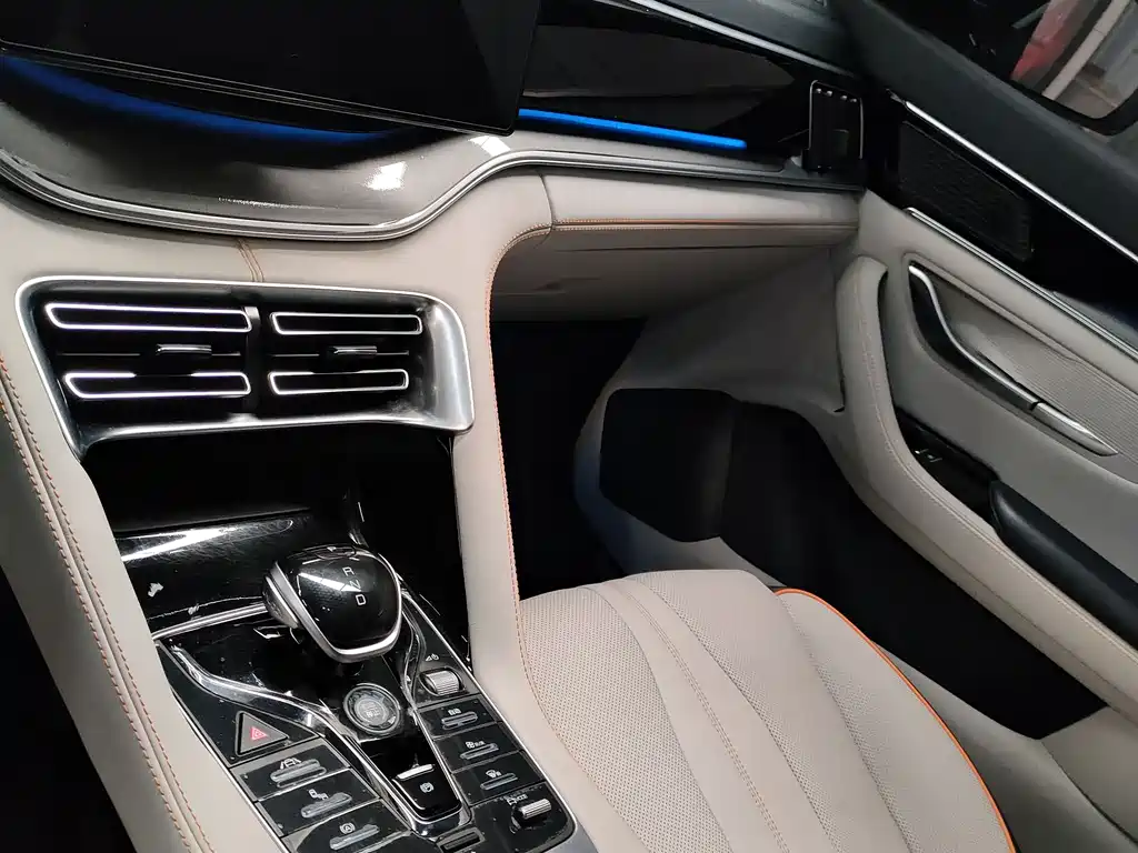 BYD PLUS New Energy 2023 — фото 15