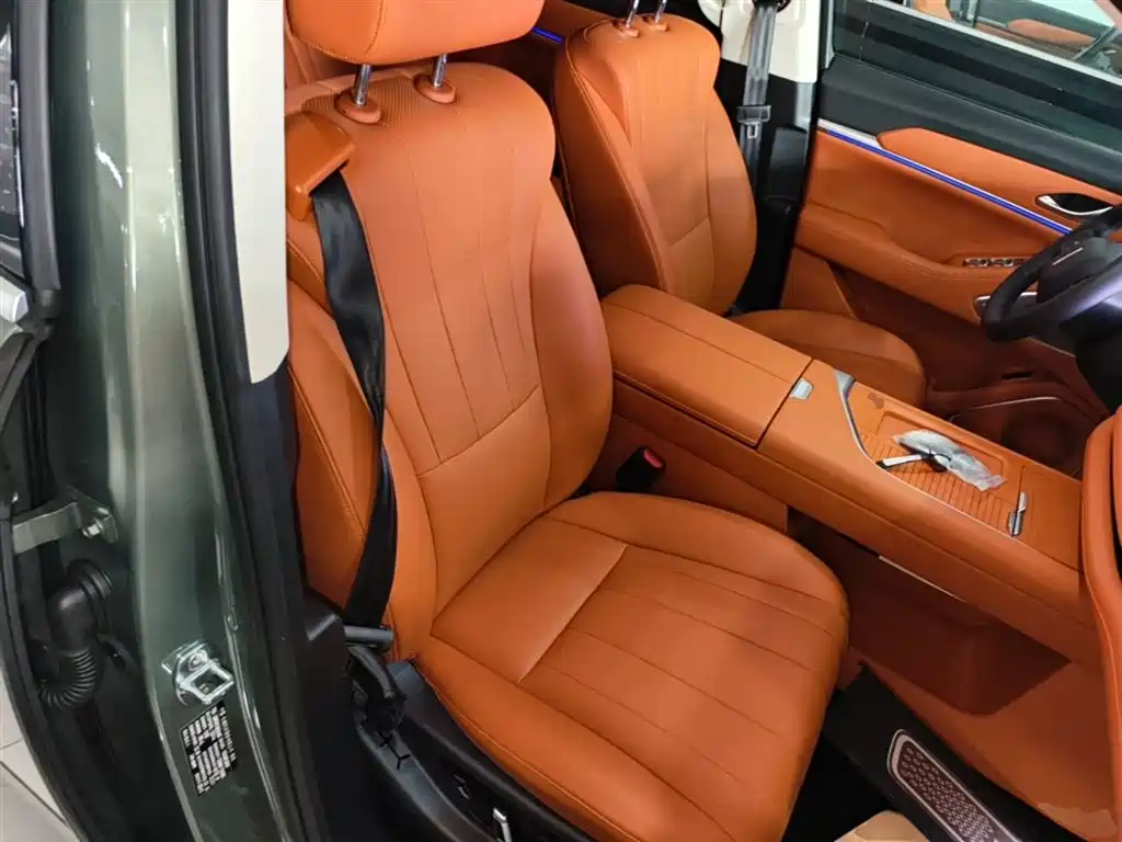 Wey Lanshan 2024 — фото 25