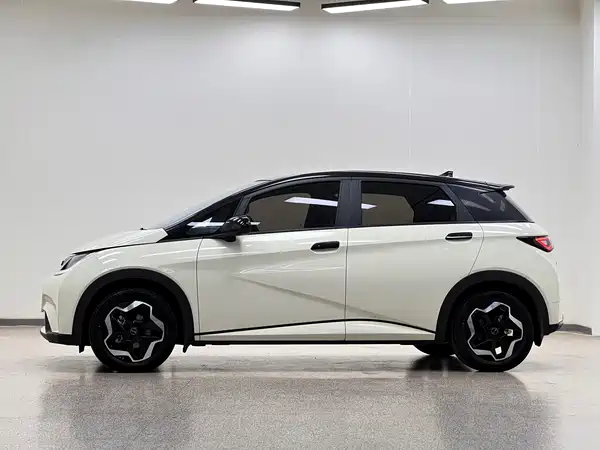 BYD Dolphin 2022
