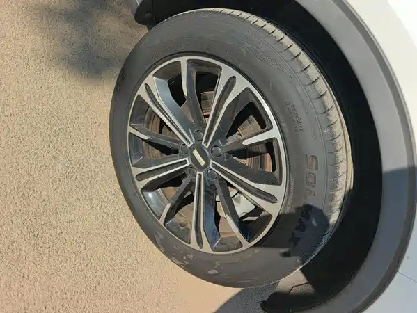 Wey VV6 2020