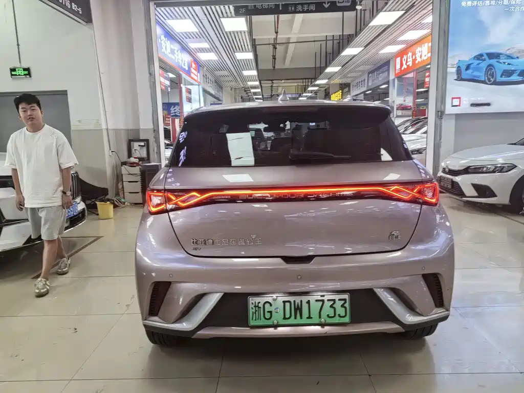 BYD Dolphin 2024