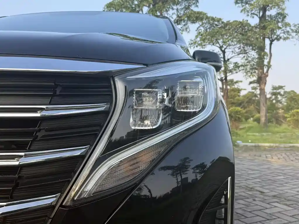 GAC Motor Trumpchi M8 2023 — фото 14