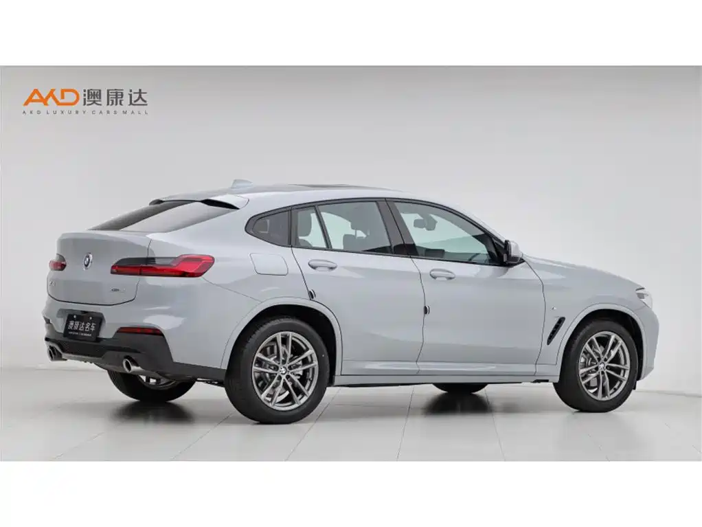 BMW X4 2019 — фото 3