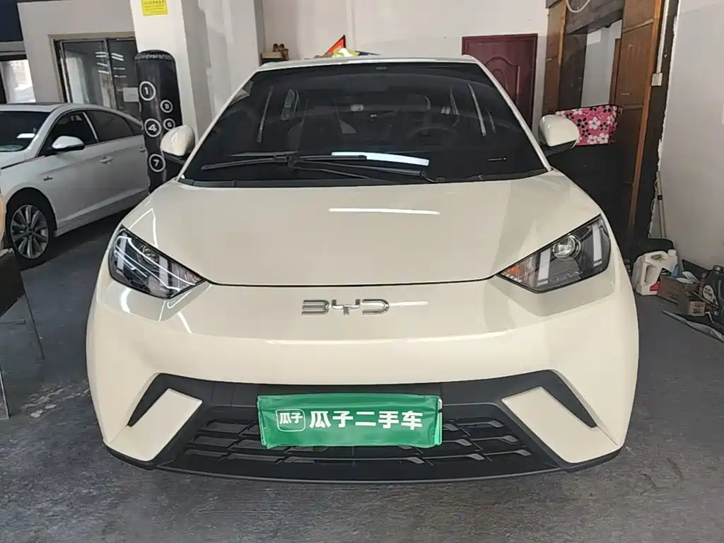 BYD Seagull 2024