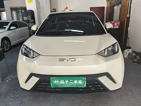 BYD Seagull 2024