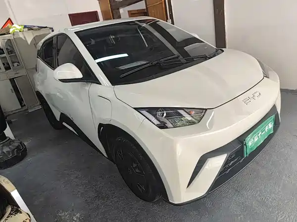 BYD Seagull 2024