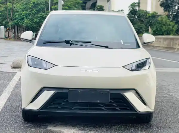BYD Seagull 2024