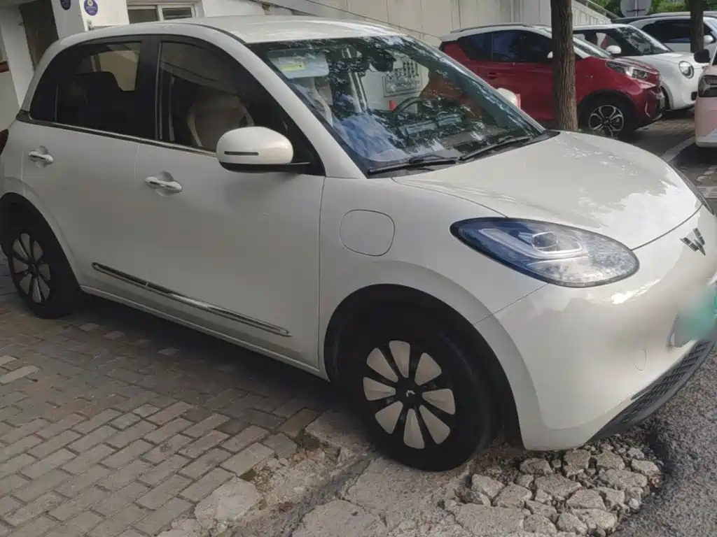 Wuling Bingo 2024