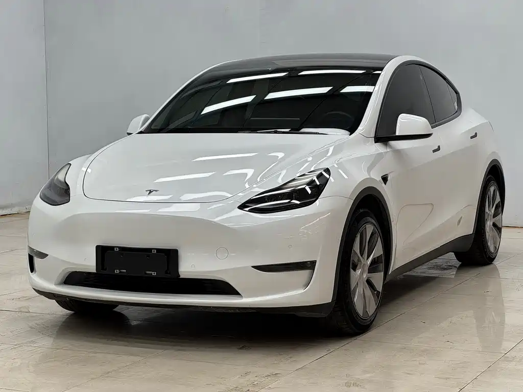 Tesla Model Y 2021 — фото 1