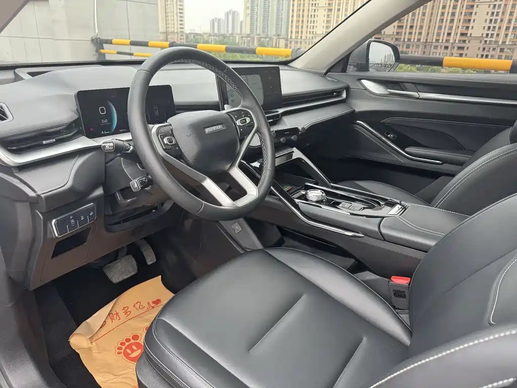 Haval H6 2022 — фото 11