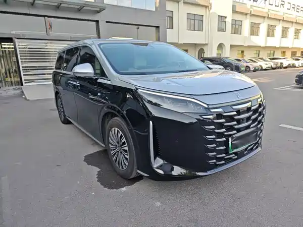 BYD Summer 2025