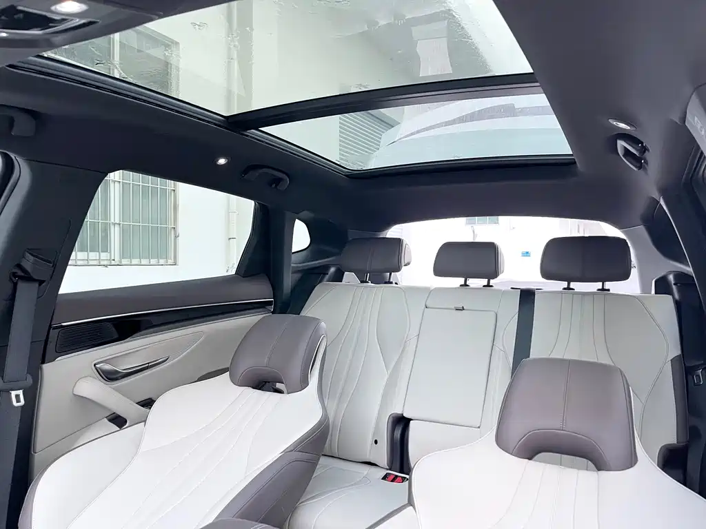BYD PLUS New Energy 2025 — фото 20