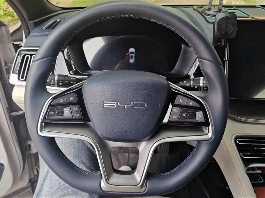 BYD PLUS New Energy 2024 — фото 15