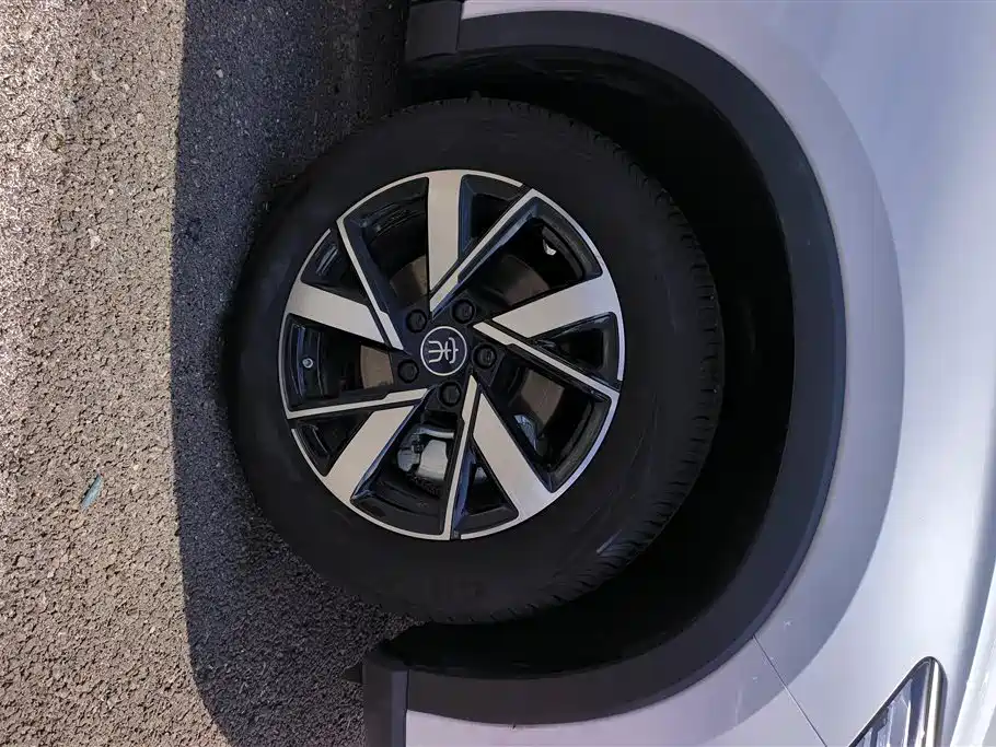 BYD Pro New Energy 2025 — фото 6