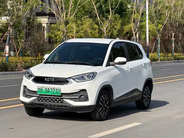 Neta N01 2019