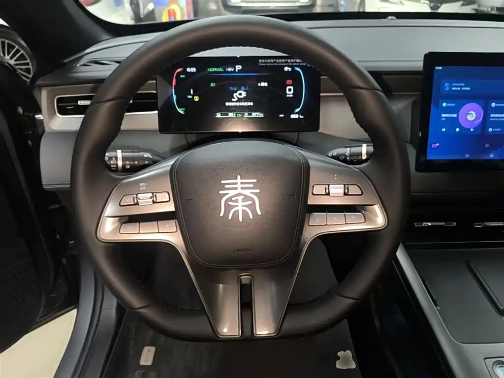 BYD Qin PLUS 2025 — фото 11